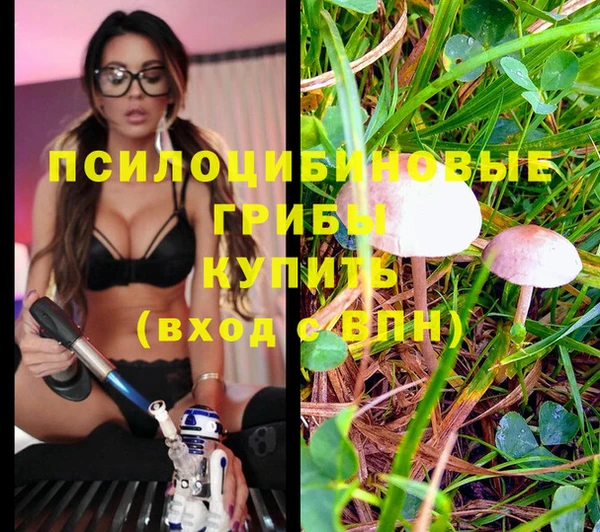 метадон Баксан
