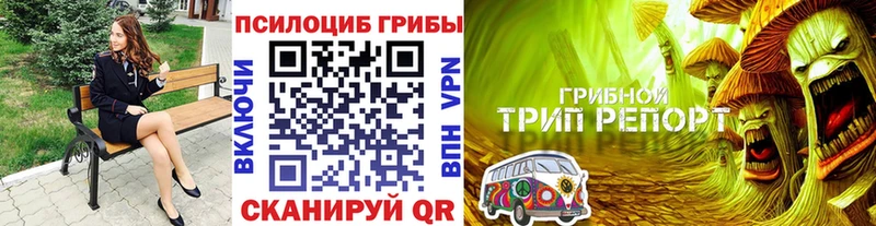 Галлюциногенные грибы Psilocybine cubensis  Калуга 