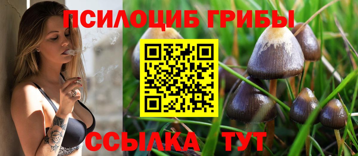 Калуга  Галлюциногенные грибы MAGIC MUSHROOMS  Вход с VPN 